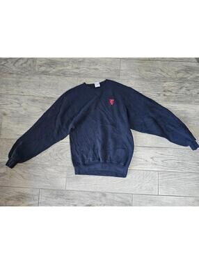 Men's Vintage Soffe Minnesota Twins Sweatshirt Size Small Blue MLB Baseball 90s